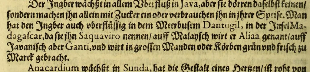 An illustration from Vierder Theil der Orie[n]talischen Indien, in welchen erstlich gehandelt wirt, von allerley Thiern, Früchten, Obs, vnd Bäumen, item von allerhand Würtz, Specereyen vnd Materialen, auch von Perlen vnd allerley Edelgesteinen, so in gemelten Indien gefunden werden, wo vnd wie sie wachsen, daselbst geschätzet, gekaufft, vnd genant werden: beschrieben durch Johan[n] Hugen von Lintschotten, vnd andere. : Auch mit schönen Annotationibus gezieret vnd erkläret durch Bernardum Paludanum Med. D. in Enckheusen. Zum andern, die letzte Reise der Holländer in die Ost-Indien, welche aussgefahren im Frühling dess 1598. Jahrs, vnd mit 4. Schiffen widerumb glücklich anheim gelanget, im Monat Julio dess 1599. Jahrs,, 1617, leaf 122