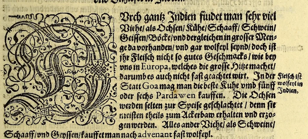 An illustration from Vierder Theil der Orie[n]talischen Indien, in welchen erstlich gehandelt wirt, von allerley Thiern, Früchten, Obs, vnd Bäumen, item von allerhand Würtz, Specereyen vnd Materialen, auch von Perlen vnd allerley Edelgesteinen, so in gemelten Indien gefunden werden, wo vnd wie sie wachsen, daselbst geschätzet, gekaufft, vnd genant werden: beschrieben durch Johan[n] Hugen von Lintschotten, vnd andere. : Auch mit schönen Annotationibus gezieret vnd erkläret durch Bernardum Paludanum Med. D. in Enckheusen. Zum andern, die letzte Reise der Holländer in die Ost-Indien, welche aussgefahren im Frühling dess 1598. Jahrs, vnd mit 4. Schiffen widerumb glücklich anheim gelanget, im Monat Julio dess 1599. Jahrs,, 1617, leaf 15