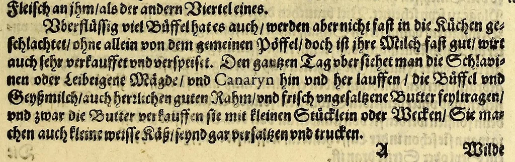 An illustration from Vierder Theil der Orie[n]talischen Indien, in welchen erstlich gehandelt wirt, von allerley Thiern, Früchten, Obs, vnd Bäumen, item von allerhand Würtz, Specereyen vnd Materialen, auch von Perlen vnd allerley Edelgesteinen, so in gemelten Indien gefunden werden, wo vnd wie sie wachsen, daselbst geschätzet, gekaufft, vnd genant werden: beschrieben durch Johan[n] Hugen von Lintschotten, vnd andere. : Auch mit schönen Annotationibus gezieret vnd erkläret durch Bernardum Paludanum Med. D. in Enckheusen. Zum andern, die letzte Reise der Holländer in die Ost-Indien, welche aussgefahren im Frühling dess 1598. Jahrs, vnd mit 4. Schiffen widerumb glücklich anheim gelanget, im Monat Julio dess 1599. Jahrs,, 1617, leaf 15
