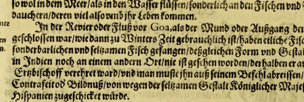 An illustration from Vierder Theil der Orie[n]talischen Indien, in welchen erstlich gehandelt wirt, von allerley Thiern, Früchten, Obs, vnd Bäumen, item von allerhand Würtz, Specereyen vnd Materialen, auch von Perlen vnd allerley Edelgesteinen, so in gemelten Indien gefunden werden, wo vnd wie sie wachsen, daselbst geschätzet, gekaufft, vnd genant werden: beschrieben durch Johan[n] Hugen von Lintschotten, vnd andere. : Auch mit schönen Annotationibus gezieret vnd erkläret durch Bernardum Paludanum Med. D. in Enckheusen. Zum andern, die letzte Reise der Holländer in die Ost-Indien, welche aussgefahren im Frühling dess 1598. Jahrs, vnd mit 4. Schiffen widerumb glücklich anheim gelanget, im Monat Julio dess 1599. Jahrs,, 1617, leaf 24
