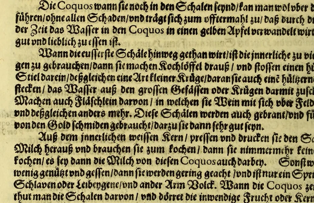 An illustration from Vierder Theil der Orie[n]talischen Indien, in welchen erstlich gehandelt wirt, von allerley Thiern, Früchten, Obs, vnd Bäumen, item von allerhand Würtz, Specereyen vnd Materialen, auch von Perlen vnd allerley Edelgesteinen, so in gemelten Indien gefunden werden, wo vnd wie sie wachsen, daselbst geschätzet, gekaufft, vnd genant werden: beschrieben durch Johan[n] Hugen von Lintschotten, vnd andere. : Auch mit schönen Annotationibus gezieret vnd erkläret durch Bernardum Paludanum Med. D. in Enckheusen. Zum andern, die letzte Reise der Holländer in die Ost-Indien, welche aussgefahren im Frühling dess 1598. Jahrs, vnd mit 4. Schiffen widerumb glücklich anheim gelanget, im Monat Julio dess 1599. Jahrs,, 1617, leaf 44