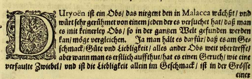 An illustration from Vierder Theil der Orie[n]talischen Indien, in welchen erstlich gehandelt wirt, von allerley Thiern, Früchten, Obs, vnd Bäumen, item von allerhand Würtz, Specereyen vnd Materialen, auch von Perlen vnd allerley Edelgesteinen, so in gemelten Indien gefunden werden, wo vnd wie sie wachsen, daselbst geschätzet, gekaufft, vnd genant werden: beschrieben durch Johan[n] Hugen von Lintschotten, vnd andere. : Auch mit schönen Annotationibus gezieret vnd erkläret durch Bernardum Paludanum Med. D. in Enckheusen. Zum andern, die letzte Reise der Holländer in die Ost-Indien, welche aussgefahren im Frühling dess 1598. Jahrs, vnd mit 4. Schiffen widerumb glücklich anheim gelanget, im Monat Julio dess 1599. Jahrs,, 1617, leaf 46