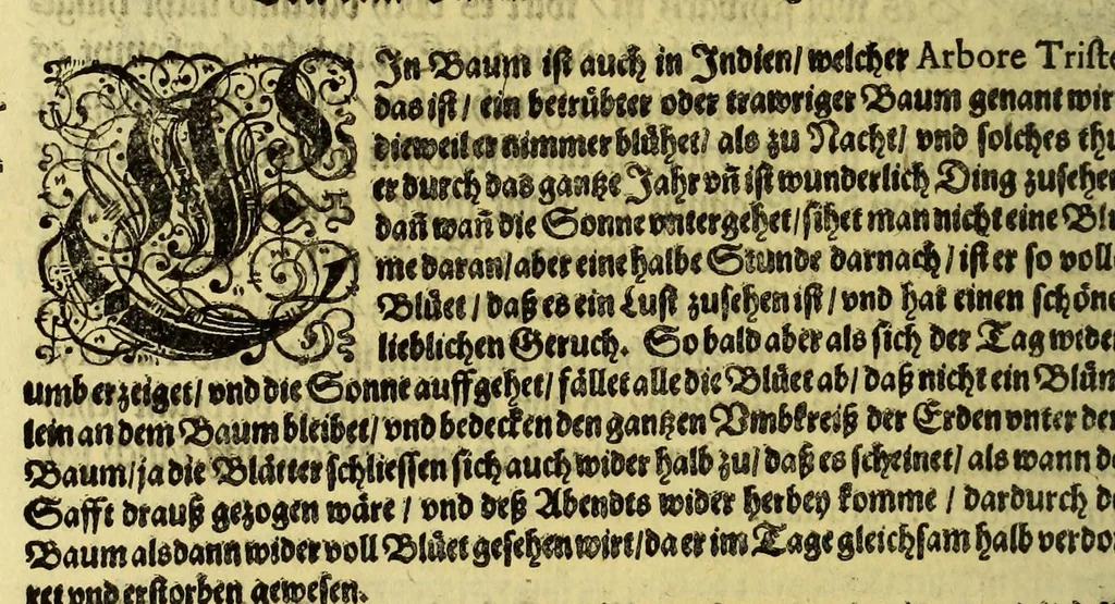 An illustration from Vierder Theil der Orie[n]talischen Indien, in welchen erstlich gehandelt wirt, von allerley Thiern, Früchten, Obs, vnd Bäumen, item von allerhand Würtz, Specereyen vnd Materialen, auch von Perlen vnd allerley Edelgesteinen, so in gemelten Indien gefunden werden, wo vnd wie sie wachsen, daselbst geschätzet, gekaufft, vnd genant werden: beschrieben durch Johan[n] Hugen von Lintschotten, vnd andere. : Auch mit schönen Annotationibus gezieret vnd erkläret durch Bernardum Paludanum Med. D. in Enckheusen. Zum andern, die letzte Reise der Holländer in die Ost-Indien, welche aussgefahren im Frühling dess 1598. Jahrs, vnd mit 4. Schiffen widerumb glücklich anheim gelanget, im Monat Julio dess 1599. Jahrs,, 1617, leaf 52