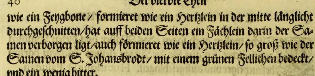 An illustration from Vierder Theil der Orie[n]talischen Indien, in welchen erstlich gehandelt wirt, von allerley Thiern, Früchten, Obs, vnd Bäumen, item von allerhand Würtz, Specereyen vnd Materialen, auch von Perlen vnd allerley Edelgesteinen, so in gemelten Indien gefunden werden, wo vnd wie sie wachsen, daselbst geschätzet, gekaufft, vnd genant werden: beschrieben durch Johan[n] Hugen von Lintschotten, vnd andere. : Auch mit schönen Annotationibus gezieret vnd erkläret durch Bernardum Paludanum Med. D. in Enckheusen. Zum andern, die letzte Reise der Holländer in die Ost-Indien, welche aussgefahren im Frühling dess 1598. Jahrs, vnd mit 4. Schiffen widerumb glücklich anheim gelanget, im Monat Julio dess 1599. Jahrs,, 1617, leaf 54