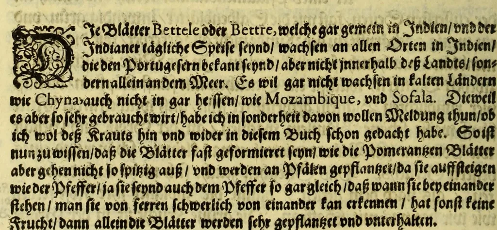 An illustration from Vierder Theil der Orie[n]talischen Indien, in welchen erstlich gehandelt wirt, von allerley Thiern, Früchten, Obs, vnd Bäumen, item von allerhand Würtz, Specereyen vnd Materialen, auch von Perlen vnd allerley Edelgesteinen, so in gemelten Indien gefunden werden, wo vnd wie sie wachsen, daselbst geschätzet, gekaufft, vnd genant werden: beschrieben durch Johan[n] Hugen von Lintschotten, vnd andere. : Auch mit schönen Annotationibus gezieret vnd erkläret durch Bernardum Paludanum Med. D. in Enckheusen. Zum andern, die letzte Reise der Holländer in die Ost-Indien, welche aussgefahren im Frühling dess 1598. Jahrs, vnd mit 4. Schiffen widerumb glücklich anheim gelanget, im Monat Julio dess 1599. Jahrs,, 1617, leaf 54