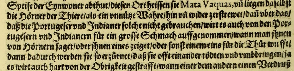 An illustration from Vierder Theil der Orie[n]talischen Indien, in welchen erstlich gehandelt wirt, von allerley Thiern, Früchten, Obs, vnd Bäumen, item von allerhand Würtz, Specereyen vnd Materialen, auch von Perlen vnd allerley Edelgesteinen, so in gemelten Indien gefunden werden, wo vnd wie sie wachsen, daselbst geschätzet, gekaufft, vnd genant werden: beschrieben durch Johan[n] Hugen von Lintschotten, vnd andere. : Auch mit schönen Annotationibus gezieret vnd erkläret durch Bernardum Paludanum Med. D. in Enckheusen. Zum andern, die letzte Reise der Holländer in die Ost-Indien, welche aussgefahren im Frühling dess 1598. Jahrs, vnd mit 4. Schiffen widerumb glücklich anheim gelanget, im Monat Julio dess 1599. Jahrs,, 1617, leaf 60