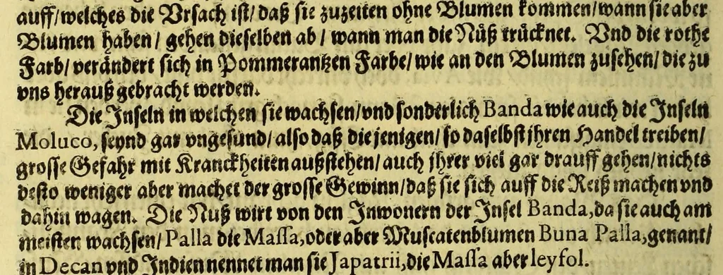 An illustration from Vierder Theil der Orie[n]talischen Indien, in welchen erstlich gehandelt wirt, von allerley Thiern, Früchten, Obs, vnd Bäumen, item von allerhand Würtz, Specereyen vnd Materialen, auch von Perlen vnd allerley Edelgesteinen, so in gemelten Indien gefunden werden, wo vnd wie sie wachsen, daselbst geschätzet, gekaufft, vnd genant werden: beschrieben durch Johan[n] Hugen von Lintschotten, vnd andere. : Auch mit schönen Annotationibus gezieret vnd erkläret durch Bernardum Paludanum Med. D. in Enckheusen. Zum andern, die letzte Reise der Holländer in die Ost-Indien, welche aussgefahren im Frühling dess 1598. Jahrs, vnd mit 4. Schiffen widerumb glücklich anheim gelanget, im Monat Julio dess 1599. Jahrs,, 1617, leaf 68