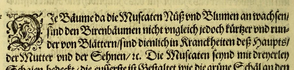 An illustration from Vierder Theil der Orie[n]talischen Indien, in welchen erstlich gehandelt wirt, von allerley Thiern, Früchten, Obs, vnd Bäumen, item von allerhand Würtz, Specereyen vnd Materialen, auch von Perlen vnd allerley Edelgesteinen, so in gemelten Indien gefunden werden, wo vnd wie sie wachsen, daselbst geschätzet, gekaufft, vnd genant werden: beschrieben durch Johan[n] Hugen von Lintschotten, vnd andere. : Auch mit schönen Annotationibus gezieret vnd erkläret durch Bernardum Paludanum Med. D. in Enckheusen. Zum andern, die letzte Reise der Holländer in die Ost-Indien, welche aussgefahren im Frühling dess 1598. Jahrs, vnd mit 4. Schiffen widerumb glücklich anheim gelanget, im Monat Julio dess 1599. Jahrs,, 1617, leaf 68