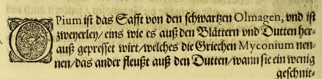 An illustration from Vierder Theil der Orie[n]talischen Indien, in welchen erstlich gehandelt wirt, von allerley Thiern, Früchten, Obs, vnd Bäumen, item von allerhand Würtz, Specereyen vnd Materialen, auch von Perlen vnd allerley Edelgesteinen, so in gemelten Indien gefunden werden, wo vnd wie sie wachsen, daselbst geschätzet, gekaufft, vnd genant werden: beschrieben durch Johan[n] Hugen von Lintschotten, vnd andere. : Auch mit schönen Annotationibus gezieret vnd erkläret durch Bernardum Paludanum Med. D. in Enckheusen. Zum andern, die letzte Reise der Holländer in die Ost-Indien, welche aussgefahren im Frühling dess 1598. Jahrs, vnd mit 4. Schiffen widerumb glücklich anheim gelanget, im Monat Julio dess 1599. Jahrs,, 1617, leaf 84