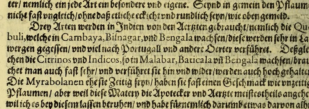 An illustration from Vierder Theil der Orie[n]talischen Indien, in welchen erstlich gehandelt wirt, von allerley Thiern, Früchten, Obs, vnd Bäumen, item von allerhand Würtz, Specereyen vnd Materialen, auch von Perlen vnd allerley Edelgesteinen, so in gemelten Indien gefunden werden, wo vnd wie sie wachsen, daselbst geschätzet, gekaufft, vnd genant werden: beschrieben durch Johan[n] Hugen von Lintschotten, vnd andere. : Auch mit schönen Annotationibus gezieret vnd erkläret durch Bernardum Paludanum Med. D. in Enckheusen. Zum andern, die letzte Reise der Holländer in die Ost-Indien, welche aussgefahren im Frühling dess 1598. Jahrs, vnd mit 4. Schiffen widerumb glücklich anheim gelanget, im Monat Julio dess 1599. Jahrs,, 1617, leaf 90