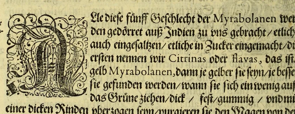 An illustration from Vierder Theil der Orie[n]talischen Indien, in welchen erstlich gehandelt wirt, von allerley Thiern, Früchten, Obs, vnd Bäumen, item von allerhand Würtz, Specereyen vnd Materialen, auch von Perlen vnd allerley Edelgesteinen, so in gemelten Indien gefunden werden, wo vnd wie sie wachsen, daselbst geschätzet, gekaufft, vnd genant werden: beschrieben durch Johan[n] Hugen von Lintschotten, vnd andere. : Auch mit schönen Annotationibus gezieret vnd erkläret durch Bernardum Paludanum Med. D. in Enckheusen. Zum andern, die letzte Reise der Holländer in die Ost-Indien, welche aussgefahren im Frühling dess 1598. Jahrs, vnd mit 4. Schiffen widerumb glücklich anheim gelanget, im Monat Julio dess 1599. Jahrs,, 1617, leaf 90