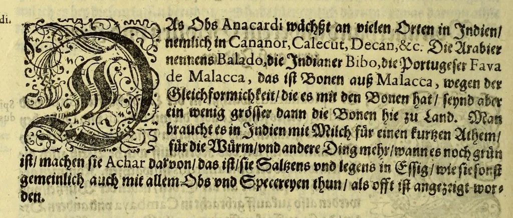 An illustration from Vierder Theil der Orie[n]talischen Indien, in welchen erstlich gehandelt wirt, von allerley Thiern, Früchten, Obs, vnd Bäumen, item von allerhand Würtz, Specereyen vnd Materialen, auch von Perlen vnd allerley Edelgesteinen, so in gemelten Indien gefunden werden, wo vnd wie sie wachsen, daselbst geschätzet, gekaufft, vnd genant werden: beschrieben durch Johan[n] Hugen von Lintschotten, vnd andere. : Auch mit schönen Annotationibus gezieret vnd erkläret durch Bernardum Paludanum Med. D. in Enckheusen. Zum andern, die letzte Reise der Holländer in die Ost-Indien, welche aussgefahren im Frühling dess 1598. Jahrs, vnd mit 4. Schiffen widerumb glücklich anheim gelanget, im Monat Julio dess 1599. Jahrs,, 1617, leaf 92