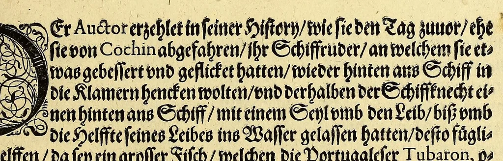 An illustration from Vierder Theil der Orientalischen Indien, in welchem erstlich gehandelt wirdt, von allerley Thieren, Früchten, Obs, vn[d] Bäumen, item von allerhand Würtz, Specereyen vnd Materialen, auch von Perlen vnd allerley Edelgesteinen, so in gemeldten Indien gefunden werden, wo vnd wie sie wachsen, auch wie sie daselbt geschätzet, gekaufft, vnd genannt werden, beschrieben durch Johann Hugen von Lintschotten, vnd andere. : Auch mit schönen Annotationibus gezieret vnd erkläret durch Bernardum Paludanum Medicinae D. in Enckheusen. Zum andern, die letzte Reise der Holländer in die Ost-Indien, welche aussgefahren im Frühling dess 1598. Jahrs. vnd mit 4. Schiffen wiederumb glücklich anheim gelanget, im Monat Julio dess 1599. Jahrs,, 1600, leaf 137