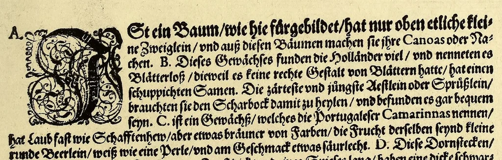 An illustration from Vierder Theil der Orientalischen Indien, in welchem erstlich gehandelt wirdt, von allerley Thieren, Früchten, Obs, vn[d] Bäumen, item von allerhand Würtz, Specereyen vnd Materialen, auch von Perlen vnd allerley Edelgesteinen, so in gemeldten Indien gefunden werden, wo vnd wie sie wachsen, auch wie sie daselbt geschätzet, gekaufft, vnd genannt werden, beschrieben durch Johann Hugen von Lintschotten, vnd andere. : Auch mit schönen Annotationibus gezieret vnd erkläret durch Bernardum Paludanum Medicinae D. in Enckheusen. Zum andern, die letzte Reise der Holländer in die Ost-Indien, welche aussgefahren im Frühling dess 1598. Jahrs. vnd mit 4. Schiffen wiederumb glücklich anheim gelanget, im Monat Julio dess 1599. Jahrs,, 1600, leaf 177