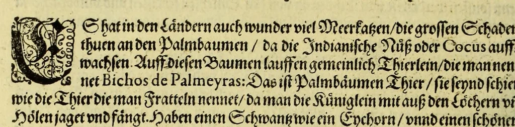 An illustration from Vierder Theil der Orientalischen Indien, in welchem erstlich gehandelt wirdt, von allerley Thieren, Früchten, Obs, vn[d] Bäumen, item von allerhand Würtz, Specereyen vnd Materialen, auch von Perlen vnd allerley Edelgesteinen, so in gemeldten Indien gefunden werden, wo vnd wie sie wachsen, auch wie sie daselbt geschätzet, gekaufft, vnd genannt werden, beschrieben durch Johann Hugen von Lintschotten, vnd andere. : Auch mit schönen Annotationibus gezieret vnd erkläret durch Bernardum Paludanum Medicinae D. in Enckheusen. Zum andern, die letzte Reise der Holländer in die Ost-Indien, welche aussgefahren im Frühling dess 1598. Jahrs. vnd mit 4. Schiffen wiederumb glücklich anheim gelanget, im Monat Julio dess 1599. Jahrs,, 1600, leaf 18