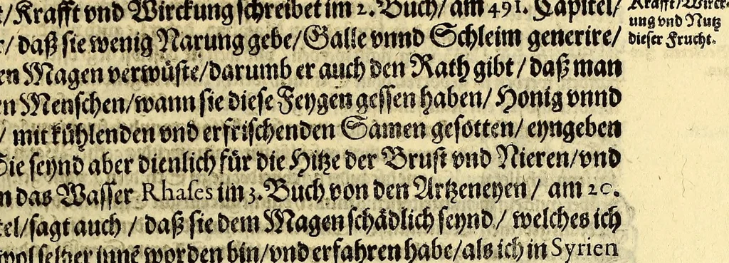 An illustration from Vierder Theil der Orientalischen Indien, in welchem erstlich gehandelt wirdt, von allerley Thieren, Früchten, Obs, vn[d] Bäumen, item von allerhand Würtz, Specereyen vnd Materialen, auch von Perlen vnd allerley Edelgesteinen, so in gemeldten Indien gefunden werden, wo vnd wie sie wachsen, auch wie sie daselbt geschätzet, gekaufft, vnd genannt werden, beschrieben durch Johann Hugen von Lintschotten, vnd andere. : Auch mit schönen Annotationibus gezieret vnd erkläret durch Bernardum Paludanum Medicinae D. in Enckheusen. Zum andern, die letzte Reise der Holländer in die Ost-Indien, welche aussgefahren im Frühling dess 1598. Jahrs. vnd mit 4. Schiffen wiederumb glücklich anheim gelanget, im Monat Julio dess 1599. Jahrs,, 1600, leaf 41