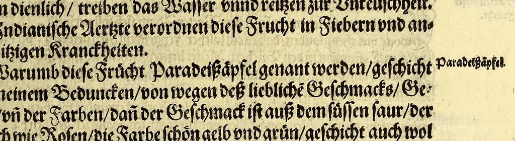 An illustration from Vierder Theil der Orientalischen Indien, in welchem erstlich gehandelt wirdt, von allerley Thieren, Früchten, Obs, vn[d] Bäumen, item von allerhand Würtz, Specereyen vnd Materialen, auch von Perlen vnd allerley Edelgesteinen, so in gemeldten Indien gefunden werden, wo vnd wie sie wachsen, auch wie sie daselbt geschätzet, gekaufft, vnd genannt werden, beschrieben durch Johann Hugen von Lintschotten, vnd andere. : Auch mit schönen Annotationibus gezieret vnd erkläret durch Bernardum Paludanum Medicinae D. in Enckheusen. Zum andern, die letzte Reise der Holländer in die Ost-Indien, welche aussgefahren im Frühling dess 1598. Jahrs. vnd mit 4. Schiffen wiederumb glücklich anheim gelanget, im Monat Julio dess 1599. Jahrs,, 1600, leaf 41