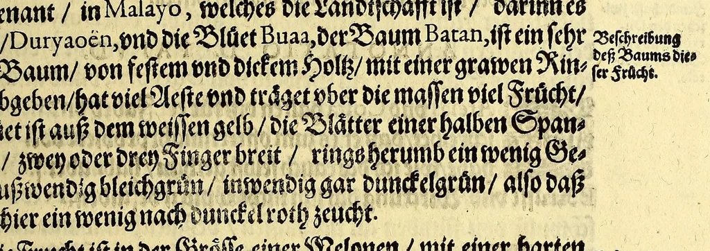 An illustration from Vierder Theil der Orientalischen Indien, in welchem erstlich gehandelt wirdt, von allerley Thieren, Früchten, Obs, vn[d] Bäumen, item von allerhand Würtz, Specereyen vnd Materialen, auch von Perlen vnd allerley Edelgesteinen, so in gemeldten Indien gefunden werden, wo vnd wie sie wachsen, auch wie sie daselbt geschätzet, gekaufft, vnd genannt werden, beschrieben durch Johann Hugen von Lintschotten, vnd andere. : Auch mit schönen Annotationibus gezieret vnd erkläret durch Bernardum Paludanum Medicinae D. in Enckheusen. Zum andern, die letzte Reise der Holländer in die Ost-Indien, welche aussgefahren im Frühling dess 1598. Jahrs. vnd mit 4. Schiffen wiederumb glücklich anheim gelanget, im Monat Julio dess 1599. Jahrs,, 1600, leaf 47