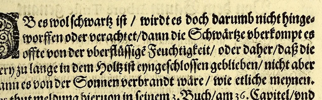 An illustration from Vierder Theil der Orientalischen Indien, in welchem erstlich gehandelt wirdt, von allerley Thieren, Früchten, Obs, vn[d] Bäumen, item von allerhand Würtz, Specereyen vnd Materialen, auch von Perlen vnd allerley Edelgesteinen, so in gemeldten Indien gefunden werden, wo vnd wie sie wachsen, auch wie sie daselbt geschätzet, gekaufft, vnd genannt werden, beschrieben durch Johann Hugen von Lintschotten, vnd andere. : Auch mit schönen Annotationibus gezieret vnd erkläret durch Bernardum Paludanum Medicinae D. in Enckheusen. Zum andern, die letzte Reise der Holländer in die Ost-Indien, welche aussgefahren im Frühling dess 1598. Jahrs. vnd mit 4. Schiffen wiederumb glücklich anheim gelanget, im Monat Julio dess 1599. Jahrs,, 1600, leaf 51