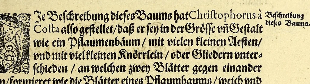 An illustration from Vierder Theil der Orientalischen Indien, in welchem erstlich gehandelt wirdt, von allerley Thieren, Früchten, Obs, vn[d] Bäumen, item von allerhand Würtz, Specereyen vnd Materialen, auch von Perlen vnd allerley Edelgesteinen, so in gemeldten Indien gefunden werden, wo vnd wie sie wachsen, auch wie sie daselbt geschätzet, gekaufft, vnd genannt werden, beschrieben durch Johann Hugen von Lintschotten, vnd andere. : Auch mit schönen Annotationibus gezieret vnd erkläret durch Bernardum Paludanum Medicinae D. in Enckheusen. Zum andern, die letzte Reise der Holländer in die Ost-Indien, welche aussgefahren im Frühling dess 1598. Jahrs. vnd mit 4. Schiffen wiederumb glücklich anheim gelanget, im Monat Julio dess 1599. Jahrs,, 1600, leaf 53