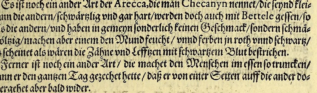 An illustration from Vierder Theil der Orientalischen Indien, in welchem erstlich gehandelt wirdt, von allerley Thieren, Früchten, Obs, vn[d] Bäumen, item von allerhand Würtz, Specereyen vnd Materialen, auch von Perlen vnd allerley Edelgesteinen, so in gemeldten Indien gefunden werden, wo vnd wie sie wachsen, auch wie sie daselbt geschätzet, gekaufft, vnd genannt werden, beschrieben durch Johann Hugen von Lintschotten, vnd andere. : Auch mit schönen Annotationibus gezieret vnd erkläret durch Bernardum Paludanum Medicinae D. in Enckheusen. Zum andern, die letzte Reise der Holländer in die Ost-Indien, welche aussgefahren im Frühling dess 1598. Jahrs. vnd mit 4. Schiffen wiederumb glücklich anheim gelanget, im Monat Julio dess 1599. Jahrs,, 1600, leaf 55