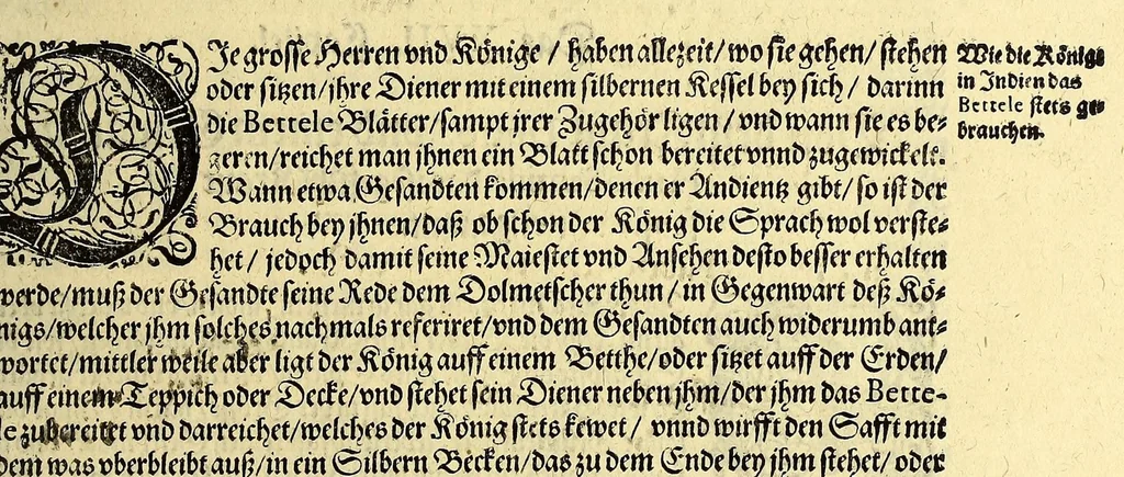 An illustration from Vierder Theil der Orientalischen Indien, in welchem erstlich gehandelt wirdt, von allerley Thieren, Früchten, Obs, vn[d] Bäumen, item von allerhand Würtz, Specereyen vnd Materialen, auch von Perlen vnd allerley Edelgesteinen, so in gemeldten Indien gefunden werden, wo vnd wie sie wachsen, auch wie sie daselbt geschätzet, gekaufft, vnd genannt werden, beschrieben durch Johann Hugen von Lintschotten, vnd andere. : Auch mit schönen Annotationibus gezieret vnd erkläret durch Bernardum Paludanum Medicinae D. in Enckheusen. Zum andern, die letzte Reise der Holländer in die Ost-Indien, welche aussgefahren im Frühling dess 1598. Jahrs. vnd mit 4. Schiffen wiederumb glücklich anheim gelanget, im Monat Julio dess 1599. Jahrs,, 1600, leaf 57