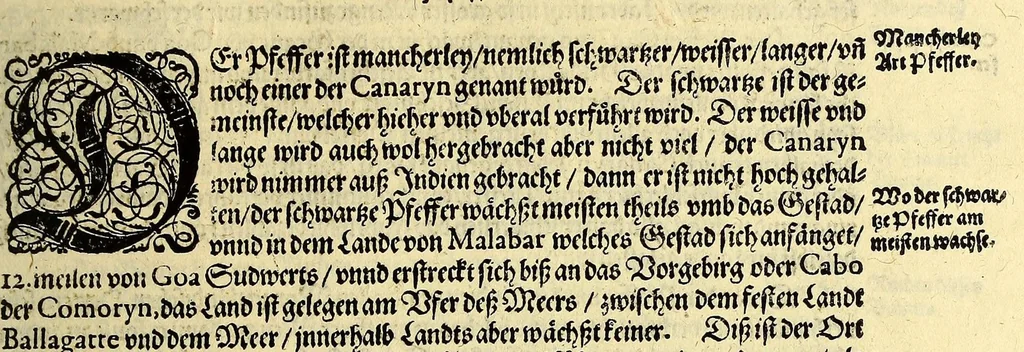 An illustration from Vierder Theil der Orientalischen Indien, in welchem erstlich gehandelt wirdt, von allerley Thieren, Früchten, Obs, vn[d] Bäumen, item von allerhand Würtz, Specereyen vnd Materialen, auch von Perlen vnd allerley Edelgesteinen, so in gemeldten Indien gefunden werden, wo vnd wie sie wachsen, auch wie sie daselbt geschätzet, gekaufft, vnd genannt werden, beschrieben durch Johann Hugen von Lintschotten, vnd andere. : Auch mit schönen Annotationibus gezieret vnd erkläret durch Bernardum Paludanum Medicinae D. in Enckheusen. Zum andern, die letzte Reise der Holländer in die Ost-Indien, welche aussgefahren im Frühling dess 1598. Jahrs. vnd mit 4. Schiffen wiederumb glücklich anheim gelanget, im Monat Julio dess 1599. Jahrs,, 1600, leaf 61