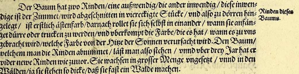 An illustration from Vierder Theil der Orientalischen Indien, in welchem erstlich gehandelt wirdt, von allerley Thieren, Früchten, Obs, vn[d] Bäumen, item von allerhand Würtz, Specereyen vnd Materialen, auch von Perlen vnd allerley Edelgesteinen, so in gemeldten Indien gefunden werden, wo vnd wie sie wachsen, auch wie sie daselbt geschätzet, gekaufft, vnd genannt werden, beschrieben durch Johann Hugen von Lintschotten, vnd andere. : Auch mit schönen Annotationibus gezieret vnd erkläret durch Bernardum Paludanum Medicinae D. in Enckheusen. Zum andern, die letzte Reise der Holländer in die Ost-Indien, welche aussgefahren im Frühling dess 1598. Jahrs. vnd mit 4. Schiffen wiederumb glücklich anheim gelanget, im Monat Julio dess 1599. Jahrs,, 1600, leaf 63