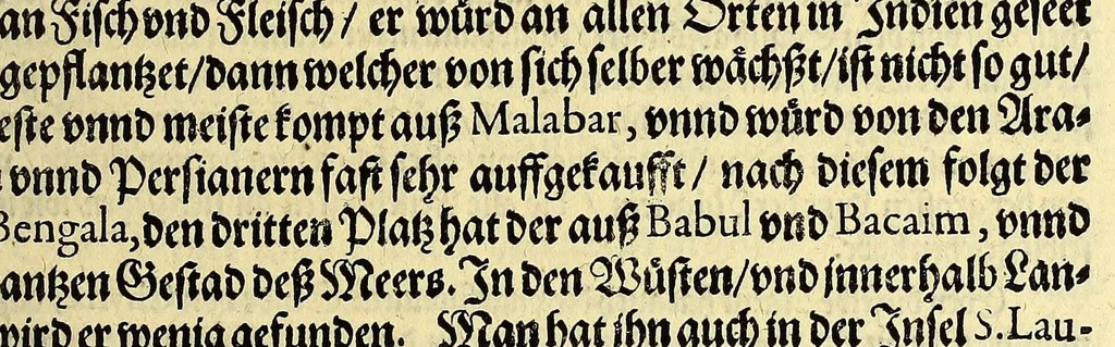An illustration from Vierder Theil der Orientalischen Indien, in welchem erstlich gehandelt wirdt, von allerley Thieren, Früchten, Obs, vn[d] Bäumen, item von allerhand Würtz, Specereyen vnd Materialen, auch von Perlen vnd allerley Edelgesteinen, so in gemeldten Indien gefunden werden, wo vnd wie sie wachsen, auch wie sie daselbt geschätzet, gekaufft, vnd genannt werden, beschrieben durch Johann Hugen von Lintschotten, vnd andere. : Auch mit schönen Annotationibus gezieret vnd erkläret durch Bernardum Paludanum Medicinae D. in Enckheusen. Zum andern, die letzte Reise der Holländer in die Ost-Indien, welche aussgefahren im Frühling dess 1598. Jahrs. vnd mit 4. Schiffen wiederumb glücklich anheim gelanget, im Monat Julio dess 1599. Jahrs,, 1600, leaf 65