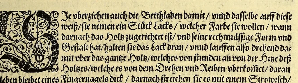 An illustration from Vierder Theil der Orientalischen Indien, in welchem erstlich gehandelt wirdt, von allerley Thieren, Früchten, Obs, vn[d] Bäumen, item von allerhand Würtz, Specereyen vnd Materialen, auch von Perlen vnd allerley Edelgesteinen, so in gemeldten Indien gefunden werden, wo vnd wie sie wachsen, auch wie sie daselbt geschätzet, gekaufft, vnd genannt werden, beschrieben durch Johann Hugen von Lintschotten, vnd andere. : Auch mit schönen Annotationibus gezieret vnd erkläret durch Bernardum Paludanum Medicinae D. in Enckheusen. Zum andern, die letzte Reise der Holländer in die Ost-Indien, welche aussgefahren im Frühling dess 1598. Jahrs. vnd mit 4. Schiffen wiederumb glücklich anheim gelanget, im Monat Julio dess 1599. Jahrs,, 1600, leaf 71