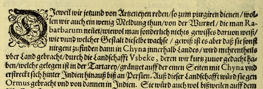 An illustration from Vierder Theil der Orientalischen Indien, in welchem erstlich gehandelt wirdt, von allerley Thieren, Früchten, Obs, vn[d] Bäumen, item von allerhand Würtz, Specereyen vnd Materialen, auch von Perlen vnd allerley Edelgesteinen, so in gemeldten Indien gefunden werden, wo vnd wie sie wachsen, auch wie sie daselbt geschätzet, gekaufft, vnd genannt werden, beschrieben durch Johann Hugen von Lintschotten, vnd andere. : Auch mit schönen Annotationibus gezieret vnd erkläret durch Bernardum Paludanum Medicinae D. in Enckheusen. Zum andern, die letzte Reise der Holländer in die Ost-Indien, welche aussgefahren im Frühling dess 1598. Jahrs. vnd mit 4. Schiffen wiederumb glücklich anheim gelanget, im Monat Julio dess 1599. Jahrs,, 1600, leaf 78