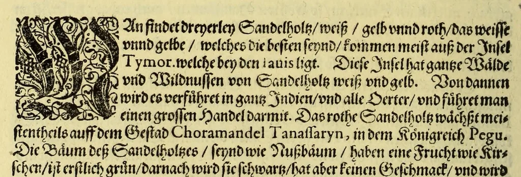 An illustration from Vierder Theil der Orientalischen Indien, in welchem erstlich gehandelt wirdt, von allerley Thieren, Früchten, Obs, vn[d] Bäumen, item von allerhand Würtz, Specereyen vnd Materialen, auch von Perlen vnd allerley Edelgesteinen, so in gemeldten Indien gefunden werden, wo vnd wie sie wachsen, auch wie sie daselbt geschätzet, gekaufft, vnd genannt werden, beschrieben durch Johann Hugen von Lintschotten, vnd andere. : Auch mit schönen Annotationibus gezieret vnd erkläret durch Bernardum Paludanum Medicinae D. in Enckheusen. Zum andern, die letzte Reise der Holländer in die Ost-Indien, welche aussgefahren im Frühling dess 1598. Jahrs. vnd mit 4. Schiffen wiederumb glücklich anheim gelanget, im Monat Julio dess 1599. Jahrs,, 1600, leaf 78