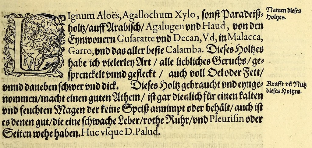 An illustration from Vierder Theil der Orientalischen Indien, in welchem erstlich gehandelt wirdt, von allerley Thieren, Früchten, Obs, vn[d] Bäumen, item von allerhand Würtz, Specereyen vnd Materialen, auch von Perlen vnd allerley Edelgesteinen, so in gemeldten Indien gefunden werden, wo vnd wie sie wachsen, auch wie sie daselbt geschätzet, gekaufft, vnd genannt werden, beschrieben durch Johann Hugen von Lintschotten, vnd andere. : Auch mit schönen Annotationibus gezieret vnd erkläret durch Bernardum Paludanum Medicinae D. in Enckheusen. Zum andern, die letzte Reise der Holländer in die Ost-Indien, welche aussgefahren im Frühling dess 1598. Jahrs. vnd mit 4. Schiffen wiederumb glücklich anheim gelanget, im Monat Julio dess 1599. Jahrs,, 1600, leaf 81
