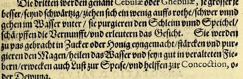 An illustration from Vierder Theil der Orientalischen Indien, in welchem erstlich gehandelt wirdt, von allerley Thieren, Früchten, Obs, vn[d] Bäumen, item von allerhand Würtz, Specereyen vnd Materialen, auch von Perlen vnd allerley Edelgesteinen, so in gemeldten Indien gefunden werden, wo vnd wie sie wachsen, auch wie sie daselbt geschätzet, gekaufft, vnd genannt werden, beschrieben durch Johann Hugen von Lintschotten, vnd andere. : Auch mit schönen Annotationibus gezieret vnd erkläret durch Bernardum Paludanum Medicinae D. in Enckheusen. Zum andern, die letzte Reise der Holländer in die Ost-Indien, welche aussgefahren im Frühling dess 1598. Jahrs. vnd mit 4. Schiffen wiederumb glücklich anheim gelanget, im Monat Julio dess 1599. Jahrs,, 1600, leaf 91