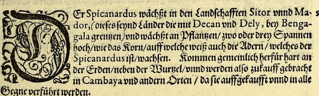 An illustration from Vierder Theil der Orientalischen Indien, in welchem erstlich gehandelt wirdt, von allerley Thieren, Früchten, Obs, vn[d] Bäumen, item von allerhand Würtz, Specereyen vnd Materialen, auch von Perlen vnd allerley Edelgesteinen, so in gemeldten Indien gefunden werden, wo vnd wie sie wachsen, auch wie sie daselbt geschätzet, gekaufft, vnd genannt werden, beschrieben durch Johann Hugen von Lintschotten, vnd andere. : Auch mit schönen Annotationibus gezieret vnd erkläret durch Bernardum Paludanum Medicinae D. in Enckheusen. Zum andern, die letzte Reise der Holländer in die Ost-Indien, welche aussgefahren im Frühling dess 1598. Jahrs. vnd mit 4. Schiffen wiederumb glücklich anheim gelanget, im Monat Julio dess 1599. Jahrs,, 1600, leaf 91