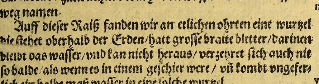 An illustration from Vierte Schiffart. Warhafftige Historien einer wunderbaren Schiffart, welche Ulrich Schmidel von Straubing, von Anno 1534. biss Anno 1554 in Americam oder Newenwelt, bey Brasilia und Rio della Plata gethan. : Was er in diesen neuntzehen Jahren aussgestanden, vnd was für seltzame wunderbare Länder vnd Leut er gesehen: durch ermelten Schmidel selbs beschrieben, an jetzt aber an Tag geben mit Verbesserung vnd Corrigierung der Stätt, Länder vnd Flüss namen, dessgleichen mit einer nothwendigen Landtaffel, Figuren, vnd anderer mehr Erklerung, gezieret,, 1599, leaf 125