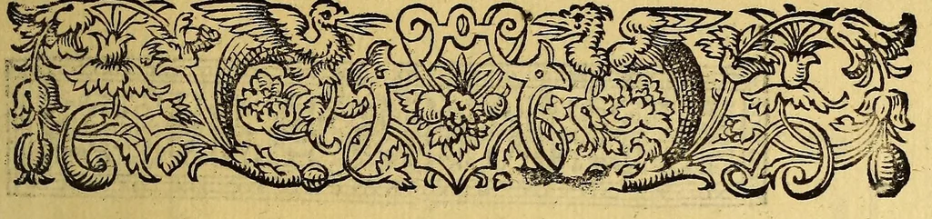 An illustration from Vierte Schiffart. Warhafftige Historien einer wunderbaren Schiffart, welche Ulrich Schmidel von Straubing, von Anno 1534. biss Anno 1554 in Americam oder Newenwelt, bey Brasilia und Rio della Plata gethan. : Was er in diesen neuntzehen Jahren aussgestanden, vnd was für seltzame wunderbare Länder vnd Leut er gesehen: durch ermelten Schmidel selbs beschrieben, an jetzt aber an Tag geben mit Verbesserung vnd Corrigierung der Stätt, Länder vnd Flüss namen, dessgleichen mit einer nothwendigen Landtaffel, Figuren, vnd anderer mehr Erklerung, gezieret,, 1599, leaf 17