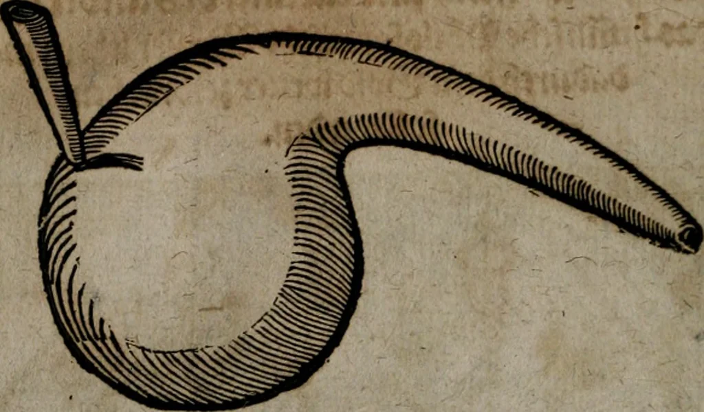An illustration from Vier tractätlein Fr. Basilii Valentini benedicter ordens von dem grossen stäin der vralten weysen maister, vnd artzneyen menschlicher gesundheyt : deren er in seinen andern schrifften gedencket, aber vor diesem niemahlen an tag kommen seind, alss nemblich seine : 1. Handgriffe vber die bereitung des grossen steins : 2. Handgriffe wie er seine artzneyen gemacht hat : 3. Schlussreden vom sulphure, victriolo, vnnd magnete : 4. Supplementum oder zugabe, 1625, leaf 13