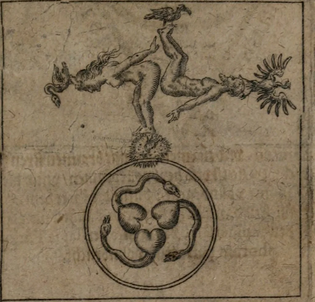 An illustration from Vier tractätlein Fr. Basilii Valentini benedicter ordens von dem grossen stäin der vralten weysen maister, vnd artzneyen menschlicher gesundheyt : deren er in seinen andern schrifften gedencket, aber vor diesem niemahlen an tag kommen seind, alss nemblich seine : 1. Handgriffe vber die bereitung des grossen steins : 2. Handgriffe wie er seine artzneyen gemacht hat : 3. Schlussreden vom sulphure, victriolo, vnnd magnete : 4. Supplementum oder zugabe, 1625, leaf 24