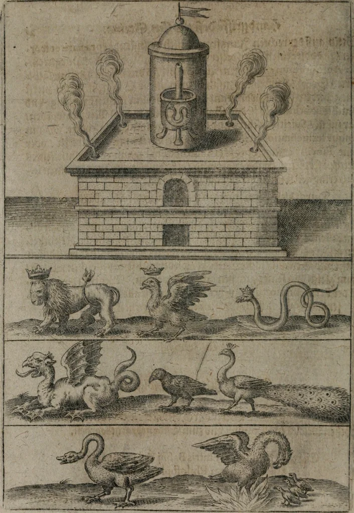 An illustration from Vier tractätlein Fr. Basilii Valentini benedicter ordens von dem grossen stäin der vralten weysen maister, vnd artzneyen menschlicher gesundheyt : deren er in seinen andern schrifften gedencket, aber vor diesem niemahlen an tag kommen seind, alss nemblich seine : 1. Handgriffe vber die bereitung des grossen steins : 2. Handgriffe wie er seine artzneyen gemacht hat : 3. Schlussreden vom sulphure, victriolo, vnnd magnete : 4. Supplementum oder zugabe, 1625, leaf 29