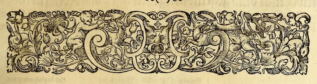 An illustration from Vier vnterschiedliche Relationes Historicae : I. Welche massen die zu gegenwertiger Zeit Regirende Kaiser: auch zu Hungarn vnd Boheim konigliche Majestät fürsich vnd deroselben nechste Bluts verwante zwey vnd dreyssig römische Kaiser titulo Parentum zu Voreltern erlangt habe. II. Durch was mittel das hochlobliche Hauss der Ertzhertzogen zu Österreich zu so viel Land vnd Leuten gelangt. III. Was seithero Caroli Magni Zeiten zu und von dem Reich kommen vnd biss auf dato dabey verbleiber. IV. Welcher gestalt die zugegenwertiger Zeit lebende europaeische Ehristliche König, Chur vnd Fürsten dess Reichs vorgedachten Hochl. Hauss der Ertzhertzogen zu Österreich verwandt sein: vnd welcher massen ihrer samtlichen Genealogia Materno Genere auf Rudolphum I. Kom Kaiser. vnd andere österreichische Herrn gebracht werden könne., 1636, leaf 87