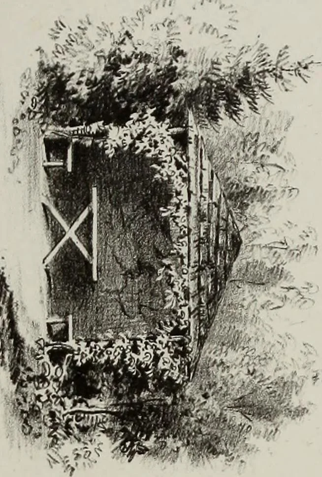 An illustration from Views : with ground plans of the Highland cottages at Roxbury (near Boston), 1845, leaf 40