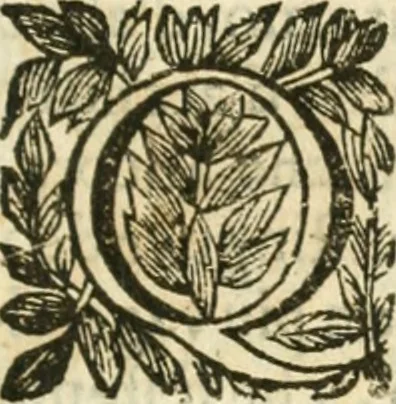 An illustration from Villa Borghese fuori di Porta Pinciana, 1650, leaf 14