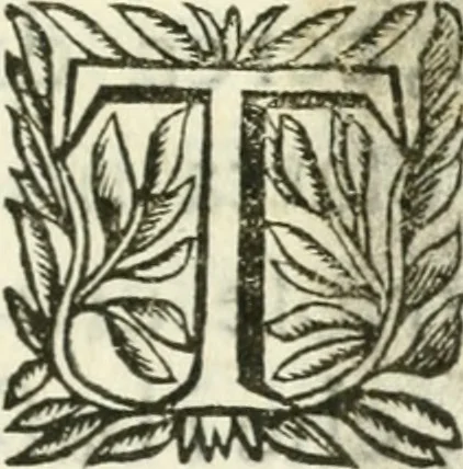 An illustration from Villa Borghese fuori di Porta Pinciana, 1650, leaf 4