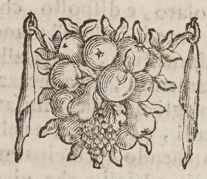 An illustration from Villa Borghese fvori di Porta Pinciana : con l'ornamenti che si osseruano nel di lei palazzo e con le figure delle statue più singolare : all'illustriss. ... d. Gio:Battista Borghese., 1700, leaf 115