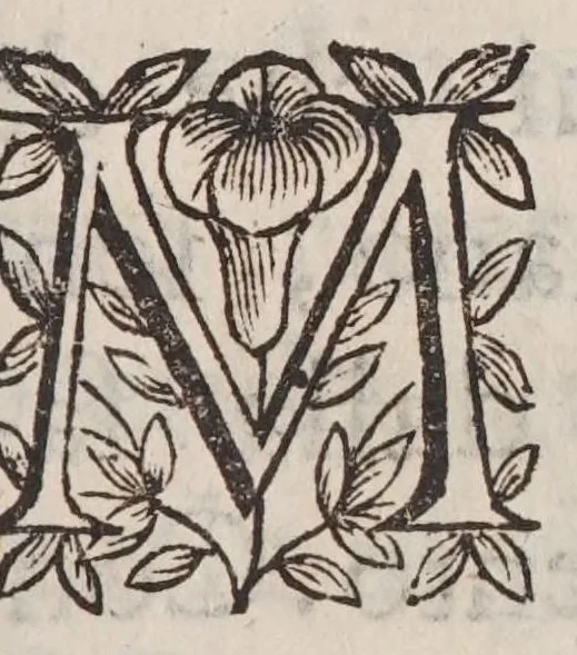 An illustration from Villa Borghese fvori di Porta Pinciana : con l'ornamenti che si osseruano nel di lei palazzo e con le figure delle statue più singolare : all'illustriss. ... d. Gio:Battista Borghese., 1700, leaf 9