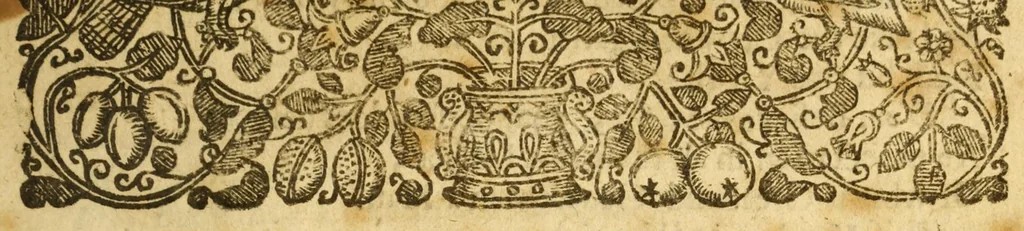 An illustration from The villain : a tragedy, 1663, leaf 11