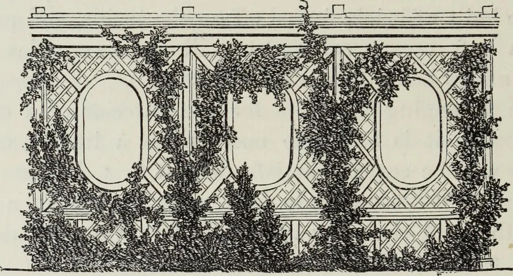 An illustration from Villas and cottages, 1874, leaf 143