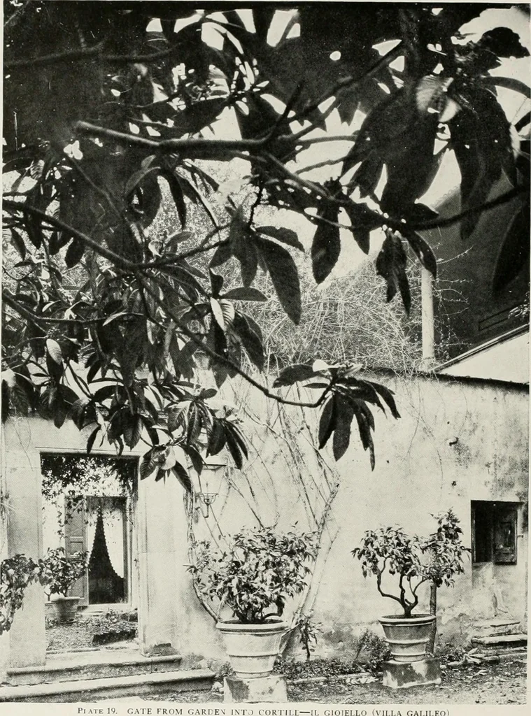An illustration from Villas of Florence and Tuscany, 1922, leaf 113