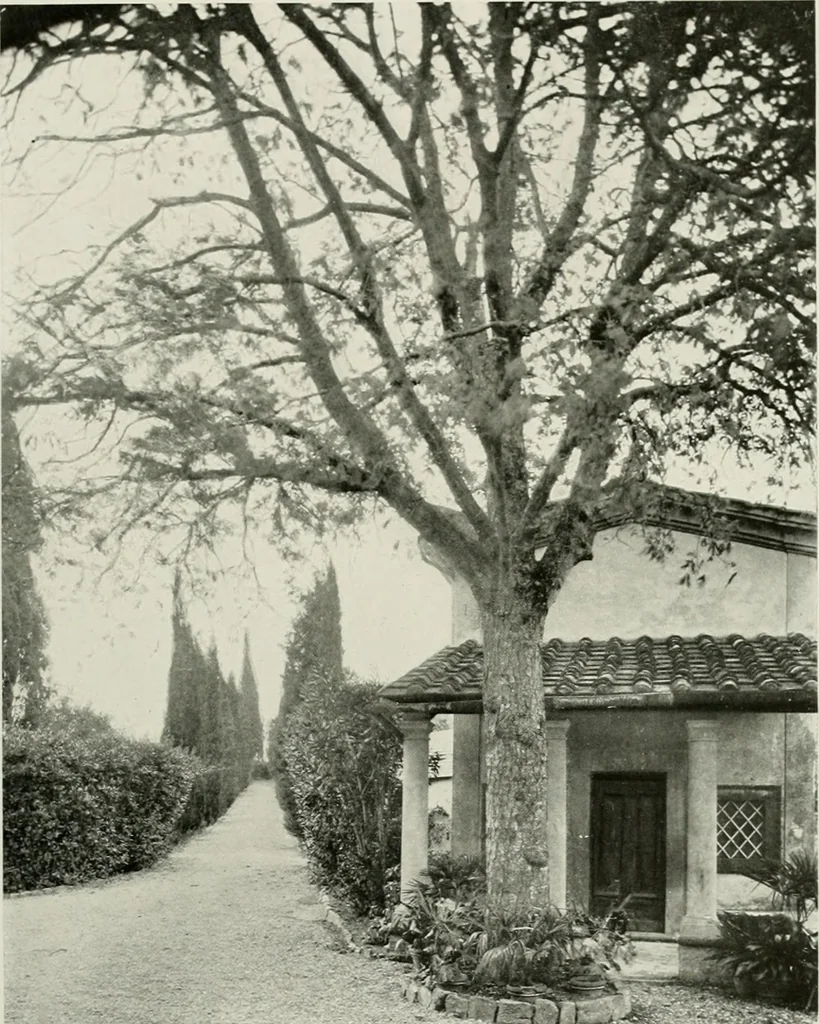 An illustration from Villas of Florence and Tuscany, 1922, leaf 134